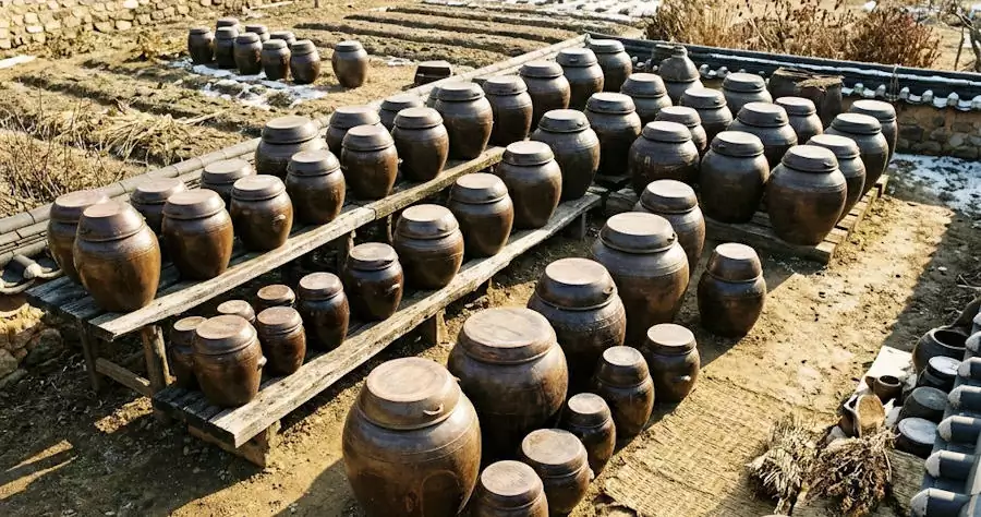 onggi pots used for traditional kimchi fermentation