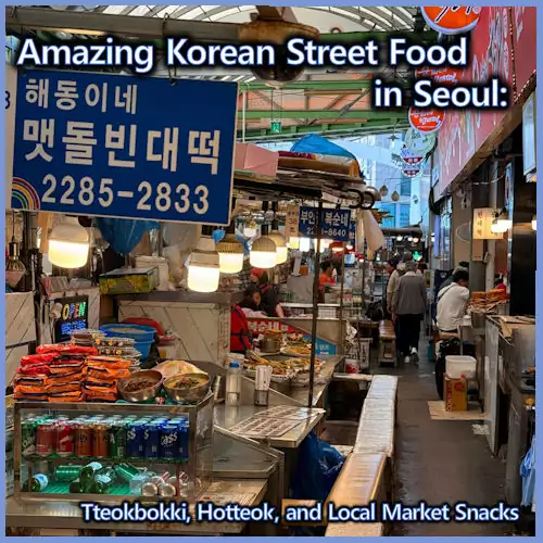 Amazing Korean street food in Seoul with tteokbokki hotteok and local market snacks