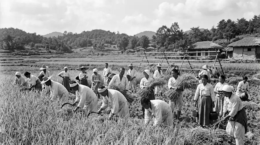 Historical representation of Korean collective society and community bonding.